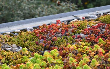 the cost of Goring By Sea green roof installation