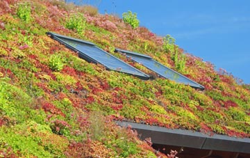 Goring By Sea living roof systems