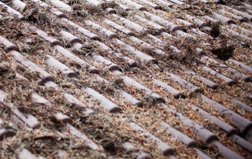 Goring By Sea roof cleaning companies