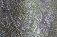 Goring By Sea fibreglass roof work